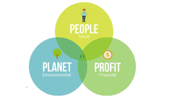 How To Be A More Sustainable Business
